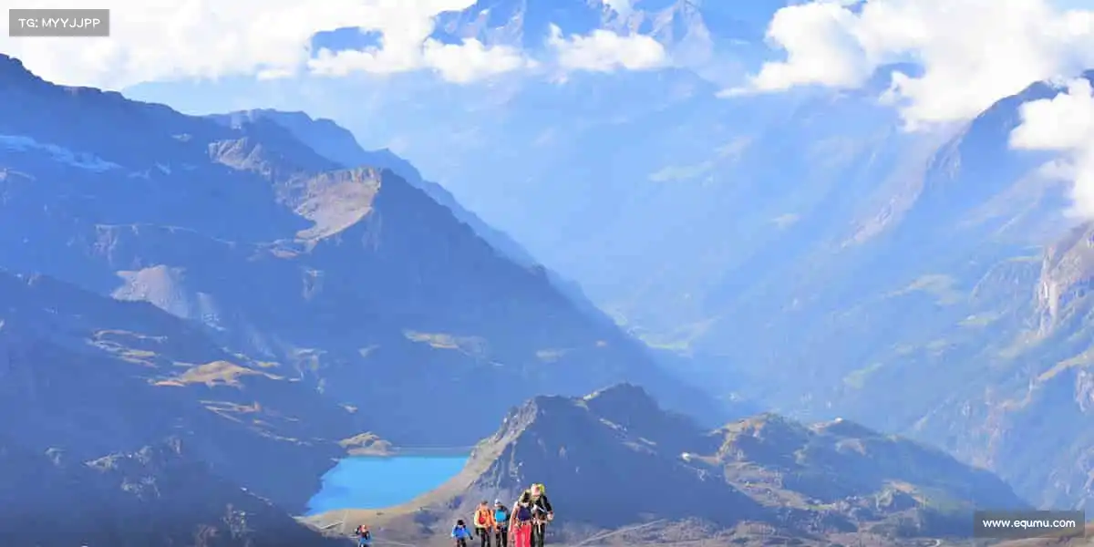 为什么选择我们